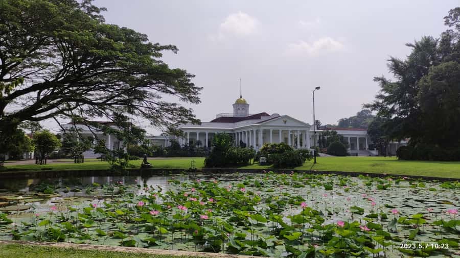 Jakarta : Botanical Garden, Waterfalls, and Rice Fields Tour - Two hours among Bogor’s plants