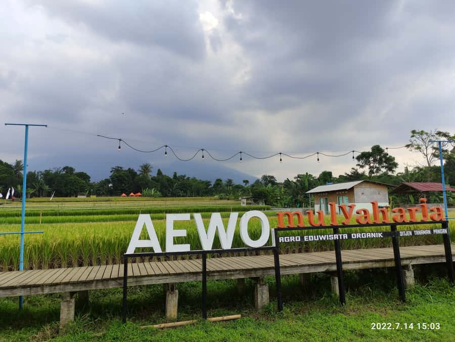 Jakarta : Botanical Garden, Waterfalls, and Rice Fields Tour - Meeting farmers at Mulyaharja