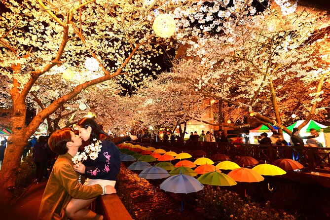 Jinhae Cherry Blossom Day trip from Busan - A Spring Adventure! - What the licensed English guide adds