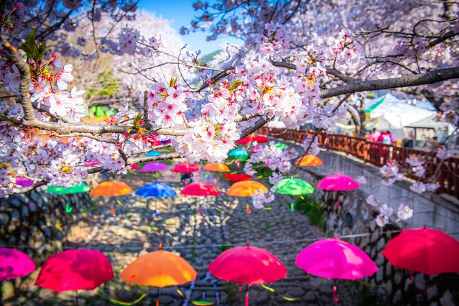 Jinhae Cherry Blossom Festival Gyeonghwa Stn Day Tour from Busan - Gyeonghwa Station and the flower tunnel