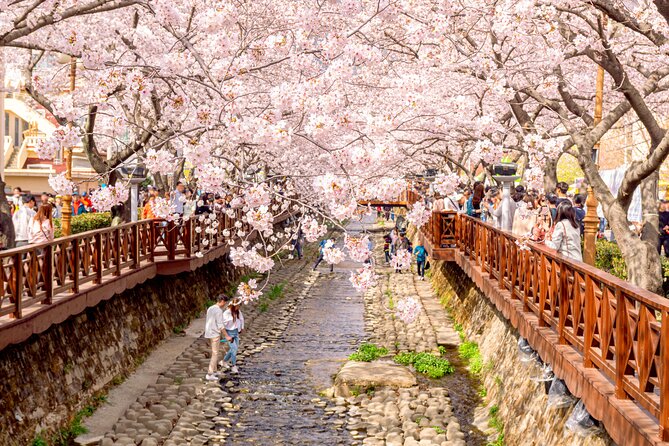 Jinhae Cherry Blossom Festival Gyeonghwa Stn Day Tour from Seoul - Gyeonghwa Station’s flower-lined railway tracks