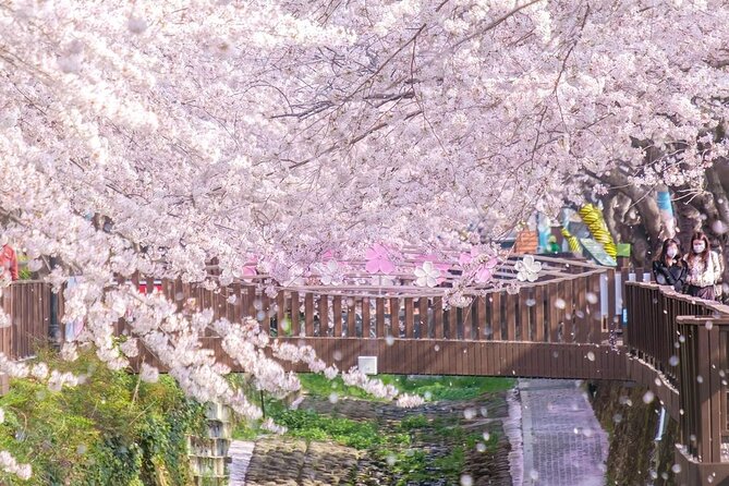 Jinhae Pink Cherry Blossom One Day Tour From Busan - Gyeonghwa Station and its famous flower tunnel