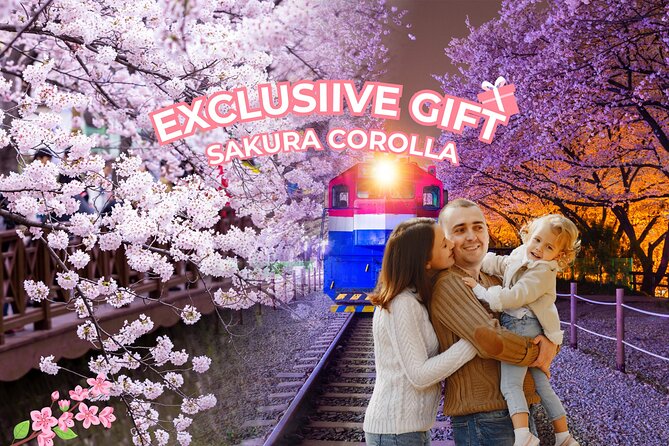 Jinhae's Cherry Blossoms Shuttle Bus depart from Seoul/Busan - What is included for $59