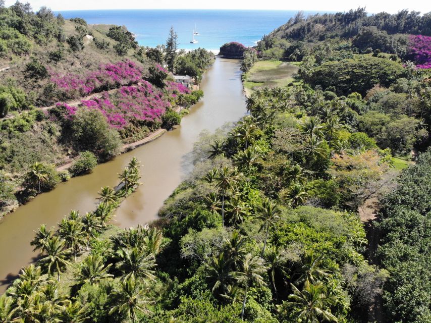 Kauai: Allerton Garden Guided Group Walking Tour - Key points to know before you book