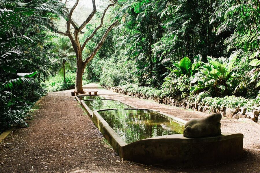 Kauai: Allerton Garden Guided Group Walking Tour - Bamboo, flowers, statues, and tropical fruit