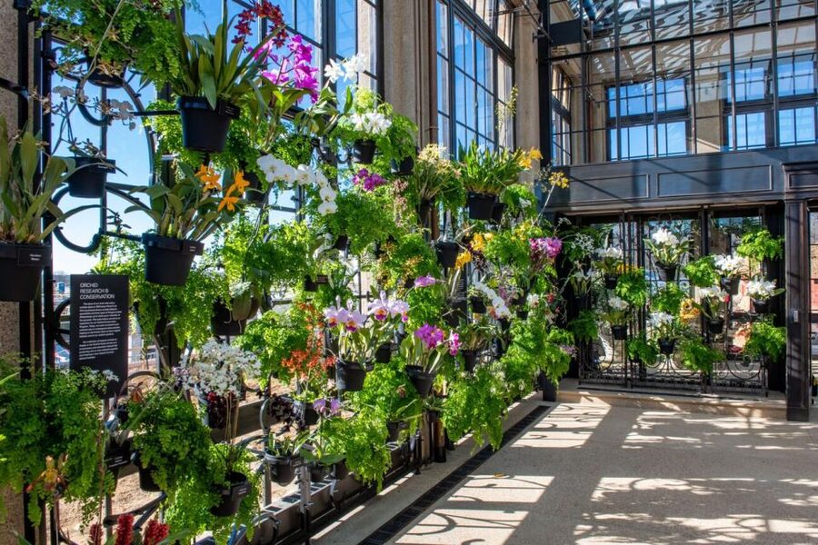 Kennett Square: Longwood Gardens Admission Ticket - Fountain Performances From May Through October