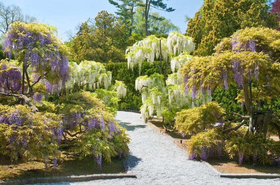 Kennett Square: Longwood Gardens Admission Ticket - Food, Breaks, and the Garden Shop