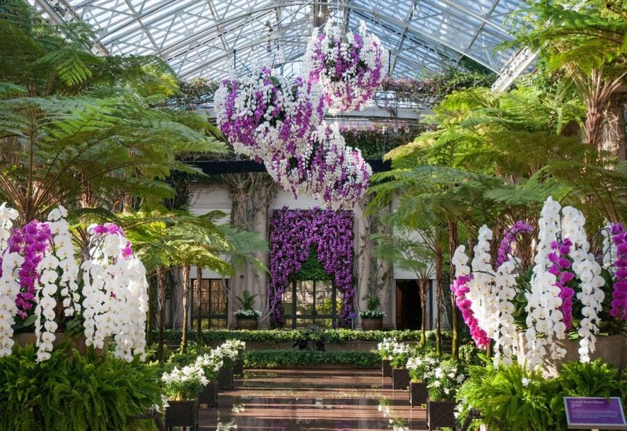 Kennett Square: Longwood Gardens Admission Ticket - Is the $32 Ticket Good Value?