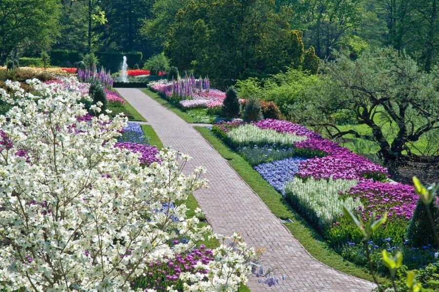 Kennett Square: Longwood Gardens Admission Ticket - Who Will Enjoy Longwood Gardens Most?