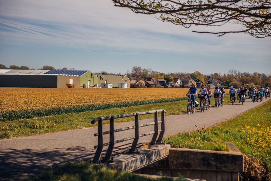 Keukenhof: Flower Fields Small-Group Cultural Bike Tour - The Tulip Experience Amsterdam visit