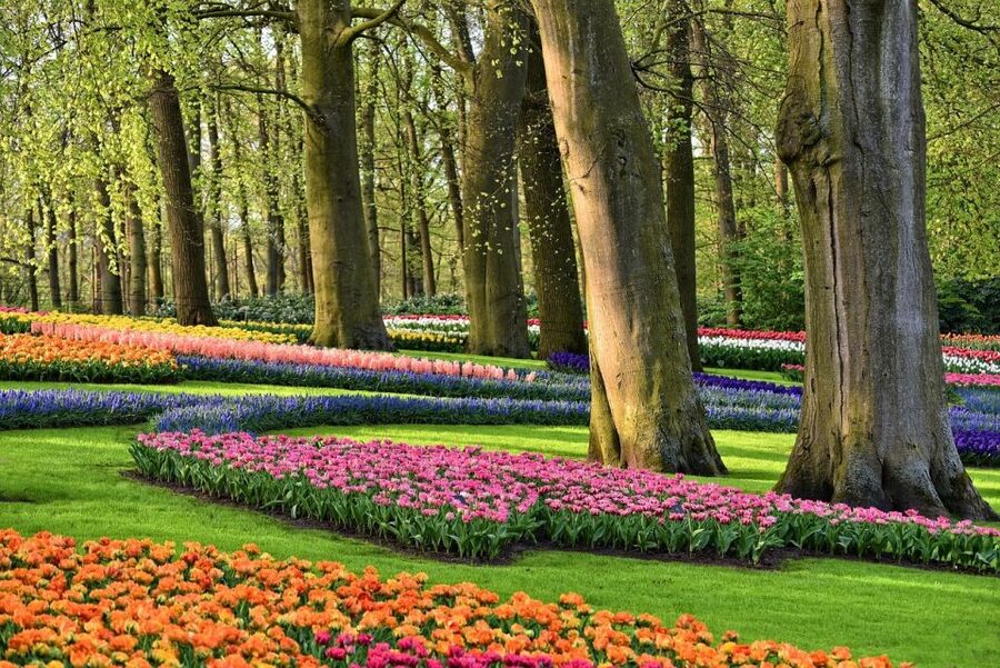 Keukenhof Gardens and Tulip Experience Tour from Amsterdam - Why begin at Tulip Experience Amsterdam