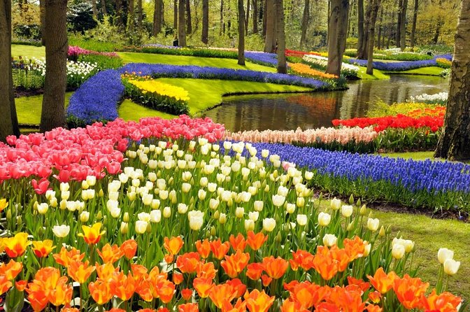Keukenhof Gardens & Tulip Experience Tour from Amsterdam - Two flower worlds in one six-and-a-half-hour day