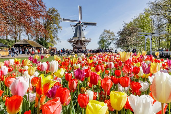 Keukenhof Gardens & Tulip Experience Tour from Amsterdam - Keukenhof Gardens: 32 hectares of carefully planned color