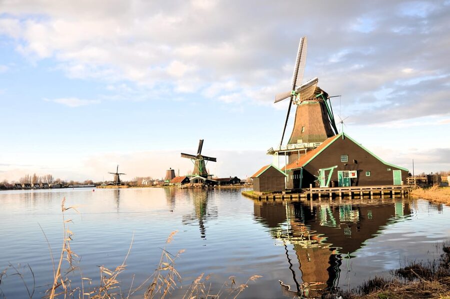 Keukenhof: Private Tulip & Windmill tour with cheese tasting - Gouda, Edam, and a suitcase-friendly cheese stop