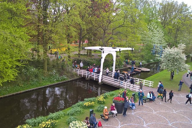 Keukenhof's Tulips and Windmills Small-Group Tour from Amsterdam - Keukenhof gives the day its color
