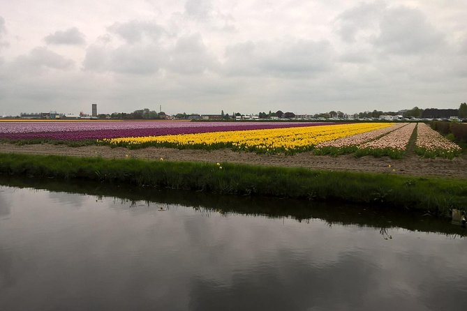 Keukenhof's Tulips and Windmills Small-Group Tour from Amsterdam - Timing matters more than the calendar suggests