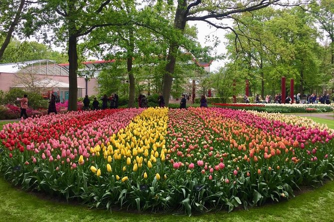 Keukenhof's Tulips and Windmills Small-Group Tour from Amsterdam - What your three hours at Keukenhof should look like