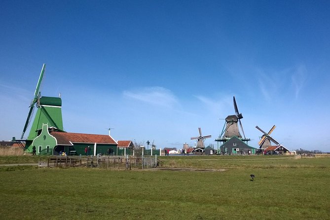 Keukenhof's Tulips and Windmills Small-Group Tour from Amsterdam - Who should book this day trip?