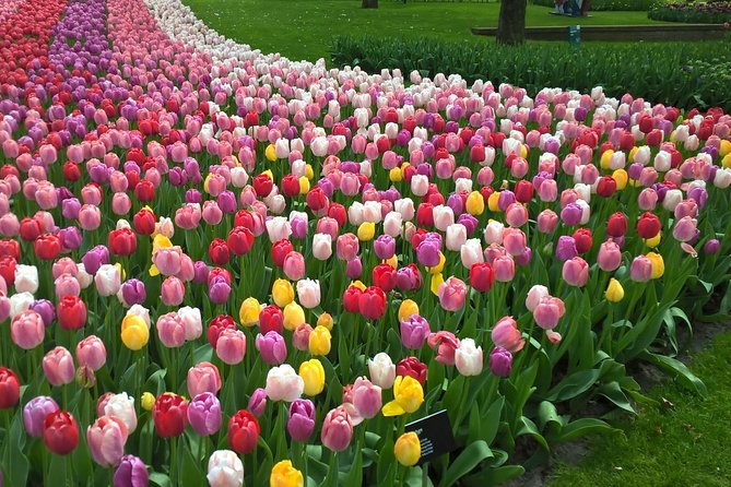 Keukenhof's Tulips and Windmills Small-Group Tour from Amsterdam - Zaanse Schans shows the working side of Dutch tradition