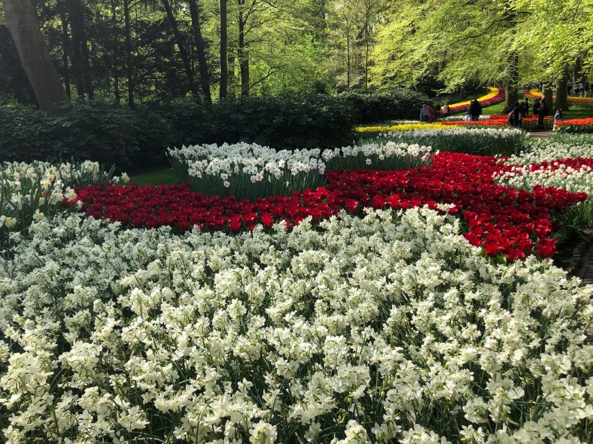Keukenhof, Tulip Farm, Flower Fields & Windmills - Why this private day works well