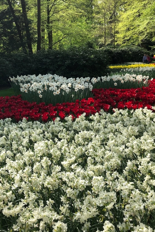 Keukenhof, Tulip Farm, Flower Fields & Windmills - Zaanse Schans: windmills with a working purpose