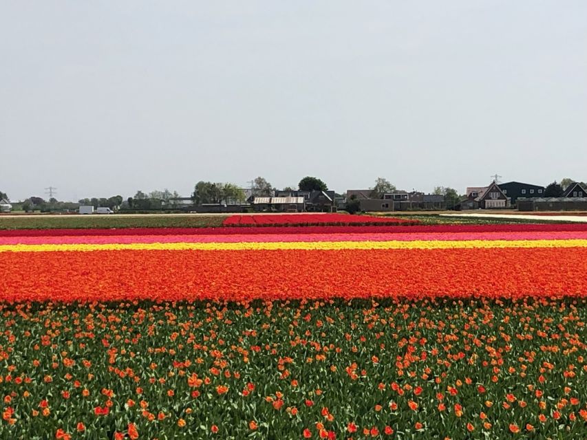 Keukenhof, Tulip Farm, Flower Fields & Windmills - Volendam: colorful streets and fishing-village character