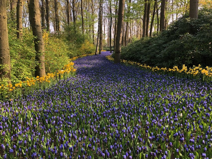 Keukenhof, Tulip Farm, Flower Fields & Windmills - What the $347 price really buys you