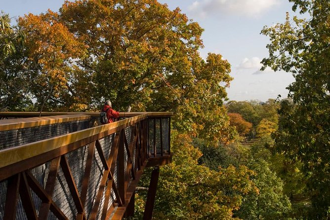 Kew Gardens Entrance Ticket - Key Things to Know Before You Go