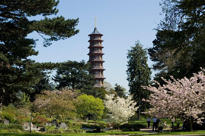 Kew Gardens Entrance Ticket - The Glasshouses: Kew’s Best Bad-Weather Plan