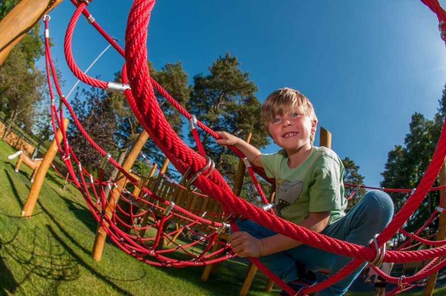 Kildare: Irish National Stud & Gardens - Key points to know before you go