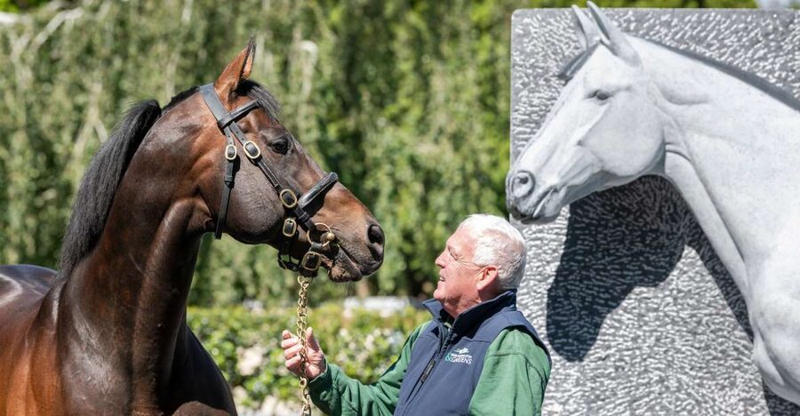 Kildare: Irish National Stud & Gardens - Take the guided tour through the stud