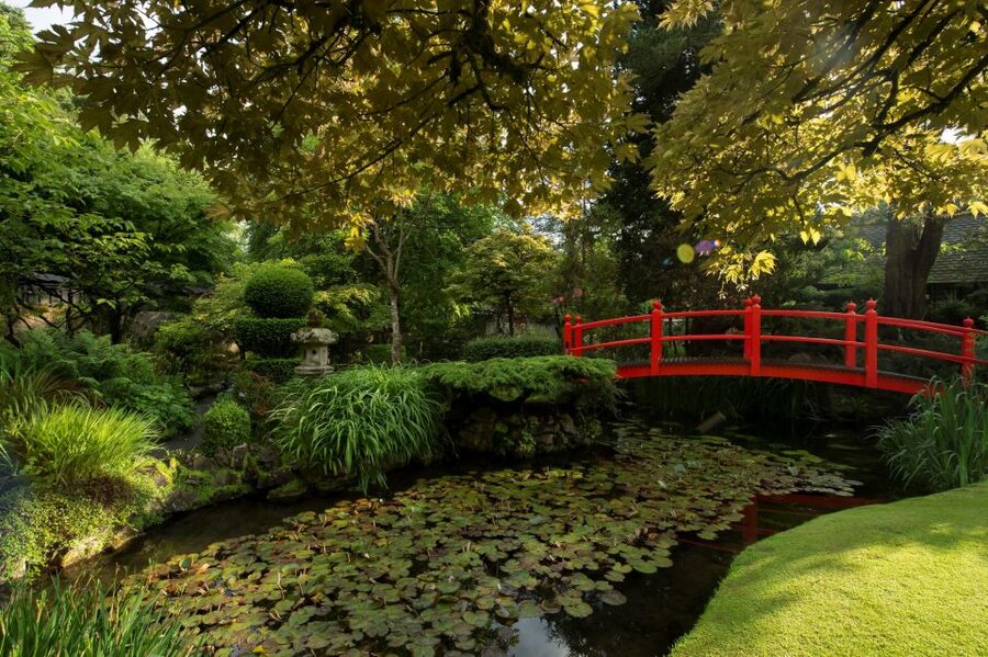 Kildare: Irish National Stud & Gardens - Walk the Japanese Gardens