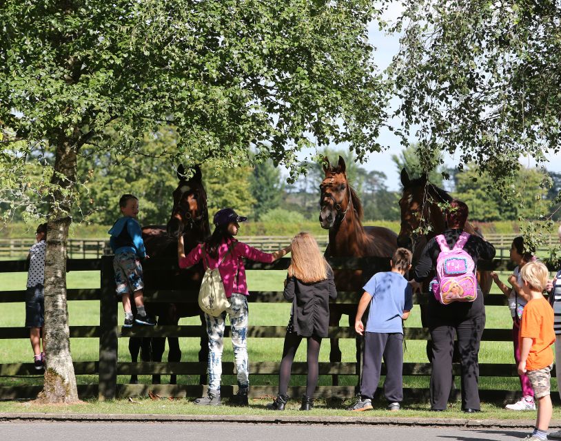 Kildare: Irish National Stud & Gardens - Who will enjoy it most