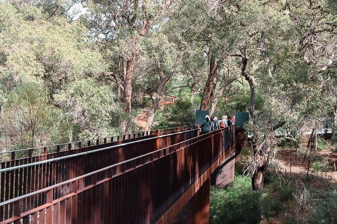 Kings Park Botanicals And Beyond - Key points at a glance