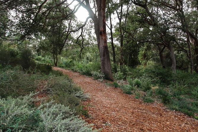 Kings Park Botanicals And Beyond - Walking an ancient Nyoongar trail