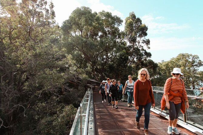 Kings Park Botanicals And Beyond - Guides who make the difference