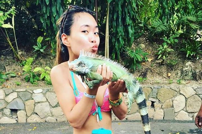 Konoko Falls and Tropical Garden Tour from Ocho Rios - What the three-hour Konoko Falls tour is really like