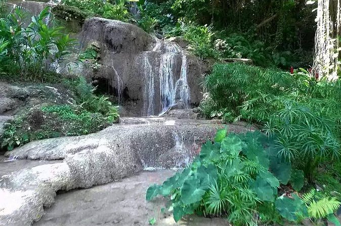 Konoko Falls and Tropical Garden Tour from Ocho Rios - The view from the top of Konoko Falls