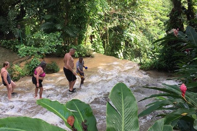 Konoko Falls and Tropical Garden Tour from Ocho Rios - What the price of $96.16 includes