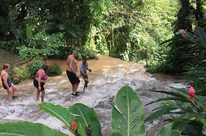 Konoko Falls and Tropical Garden Tour from Ocho Rios - Private touring and the pace of the morning