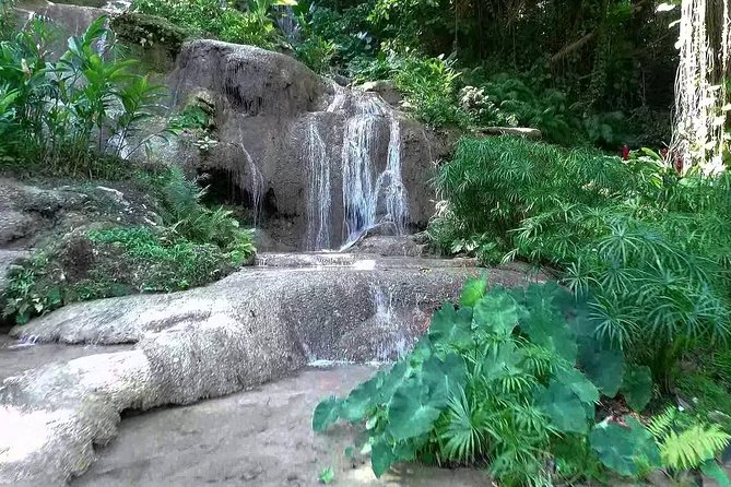 Konoko Falls and Tropical Garden Tour from Ocho Rios - Starting among orchids, ponds, and tropical birds