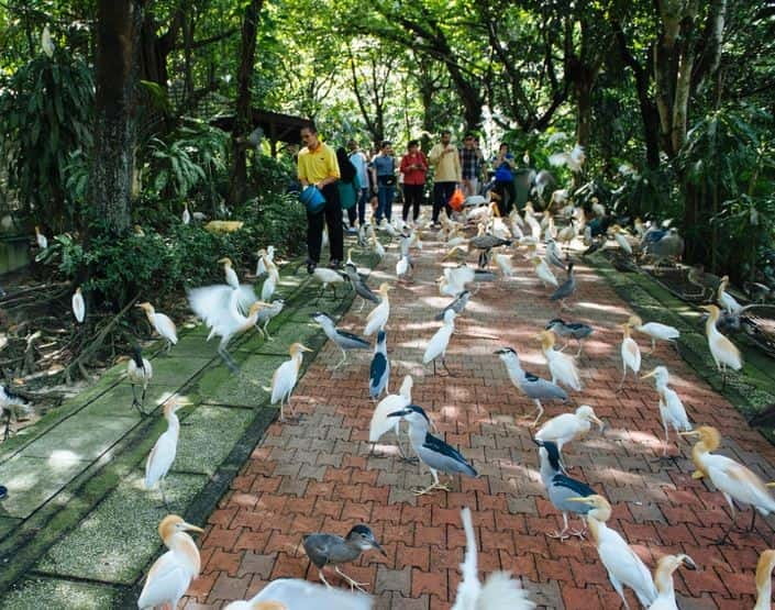 Kuala Lumpur: Bird Park, Butterfly & Garden Private Tour - Key points to know before booking