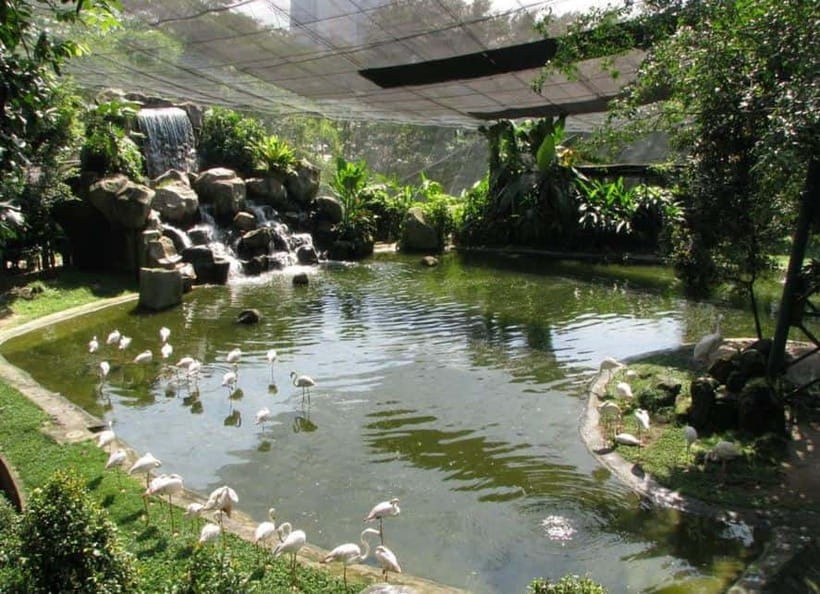 Kuala Lumpur: Bird Park, Butterfly & Garden Private Tour - Perdana Botanical Garden sets the scene