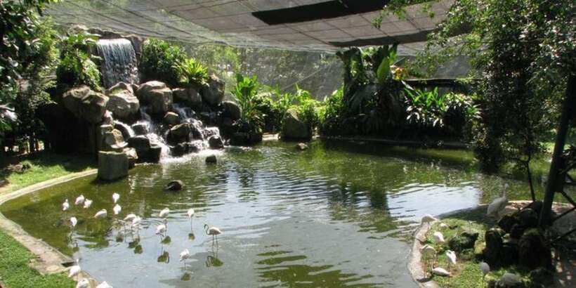 Kuala Lumpur: Bird Park, Butterfly & Garden Private Tour - Butterfly Park offers close encounters