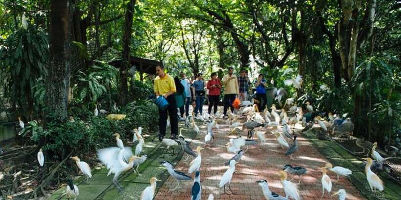 Kuala Lumpur: Bird Park, Butterfly & Garden Private Tour - Orchids, hibiscus, and Malaysia’s national flower