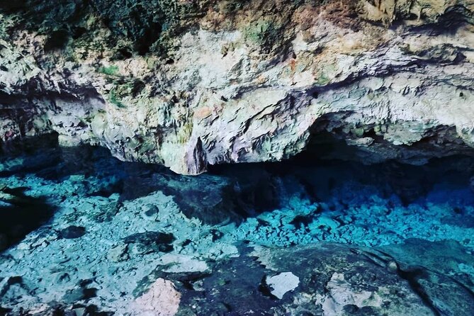 Kuza Cave, Monkey Tour, Secret Garden, Prison Island, Salaam Cave - Prison Island by motorized boat