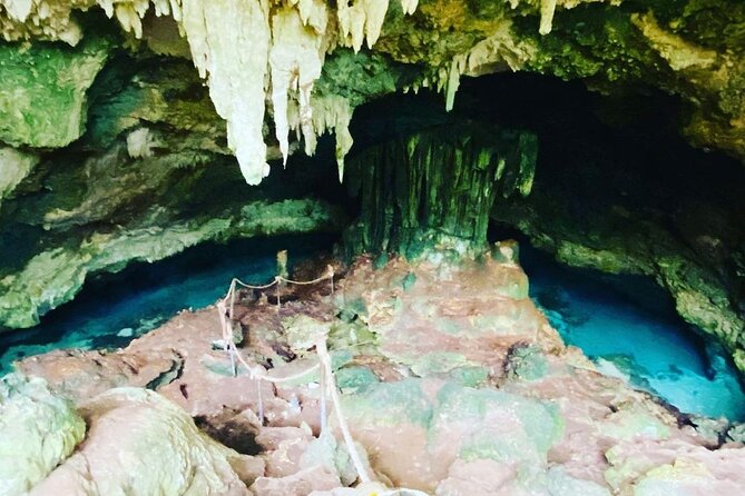 Kuza Cave, Monkey Tour, Secret Garden, Prison Island, Salaam Cave - Timing, comfort, and practical details