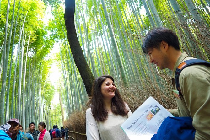 Kyoto Arashiyama Bamboo forest & Garden Half-Day Walking Tour - Hokyoin Temple and a quieter Kyoto