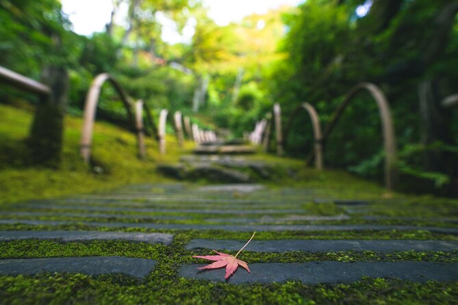 Kyoto Arashiyama Bamboo forest & Garden Half-Day Walking Tour - Lunch near Togetsukyo Bridge
