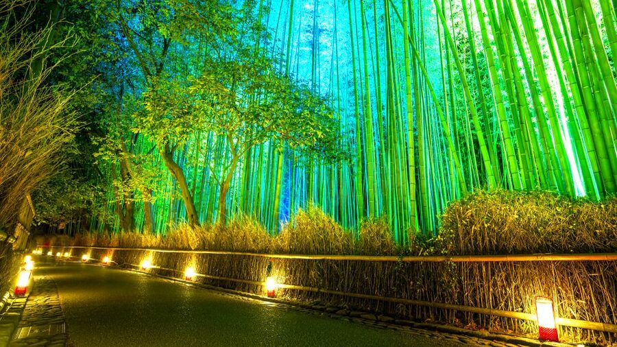 Kyoto: Japanese Gardens Private Customizable Tour - Key points to know before you book